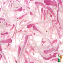 Tranh dán tường Hàn Quốc đẹp cho phòng ngủ FW - 038